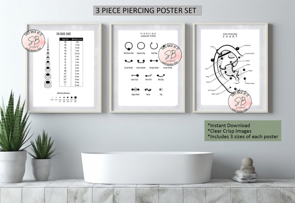 3 piece piercing poster set.  Included ear gauge chart, piercing jewelry types, and an ear piercing chart diagram