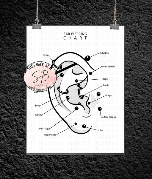 Large ear diagram showing the different types of piercings you can get in your ear.  Printable poster.