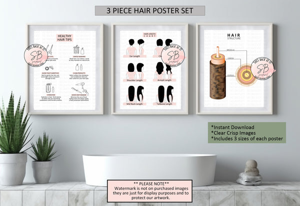 Salon 3 piece printable poster set includes 6 healthy hair tips poster, hair cut length chart and hair structure diagram.
