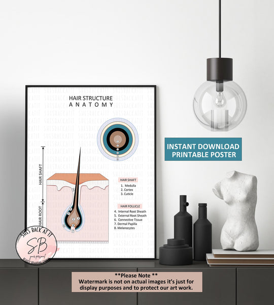 Hair Stylist Wall Art - Elegant salon decoration with hair styling elements