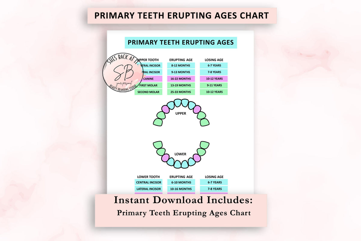 Primary Teeth Eruption Chart | ShesBackAtIt | Printable Spa, Salon and ...