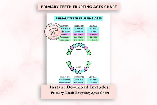 Baby Teeth Erupting Chart