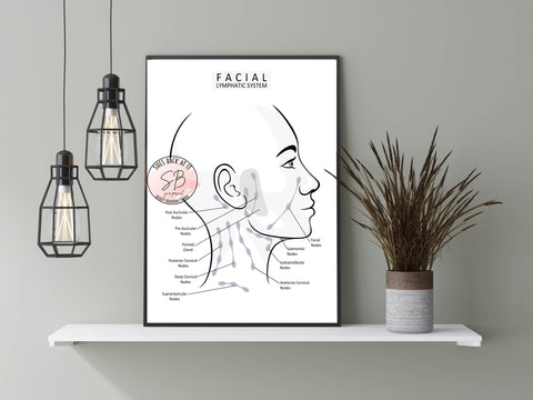 Printable Facial Lymphatic System Diagram. Perfect to display in your medspa, esthetician room, or massage room. 