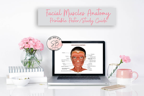 Facial Muscles Anatomy Poster
