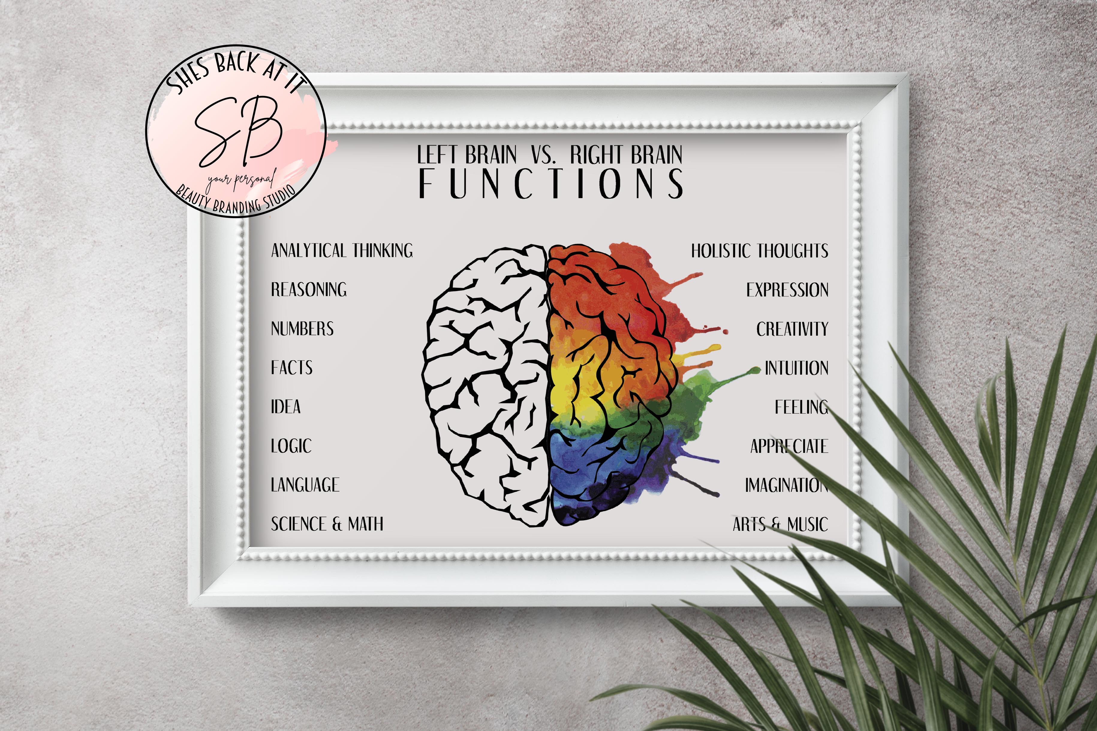 Left Brain Vs Right Brain Characteristics Amazon.com: Right Brain Left