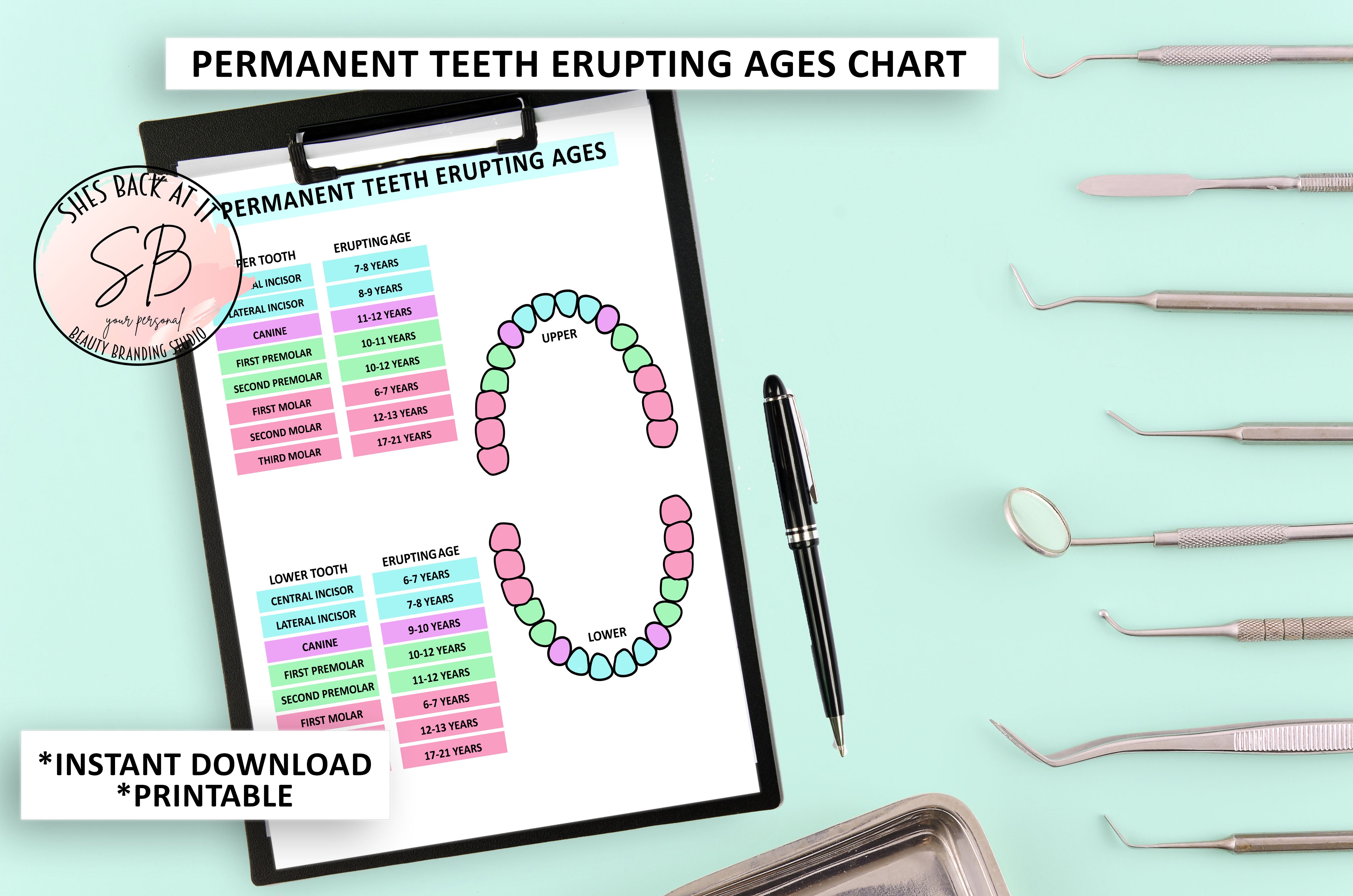 Printable Primary Teeth Chart Printable Primary Teeth Chart