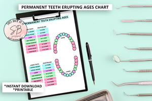 Permanent Teeth Erucpting Chart