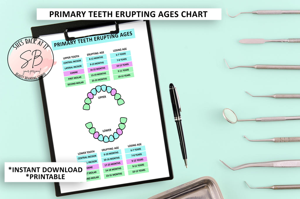 Primary Teeth Chart.pdf Primary Teeth Eruption Chart | ShesBackAtIt | Printable Spa, Salon and ...